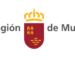 logos FEDER INFO pagina web